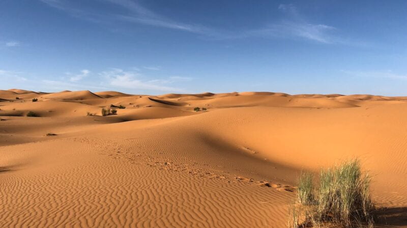 Camping in the Sahara Desert: Why It’s Not Recommended