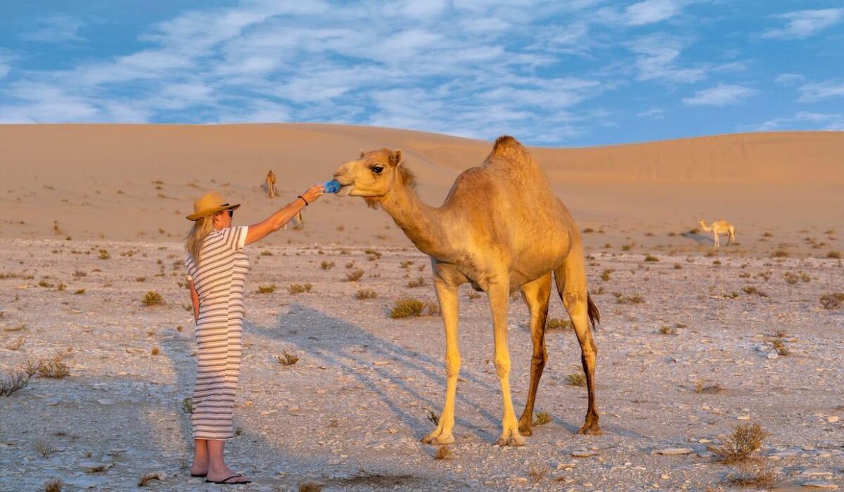a lady and a camel