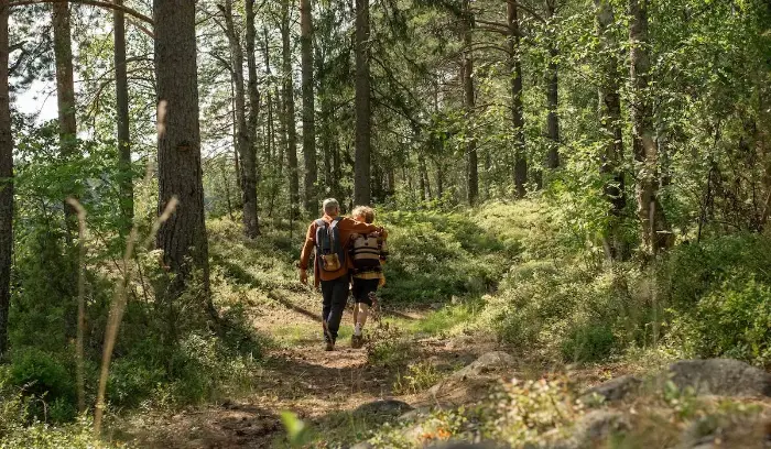 Adaptive hiking Senior