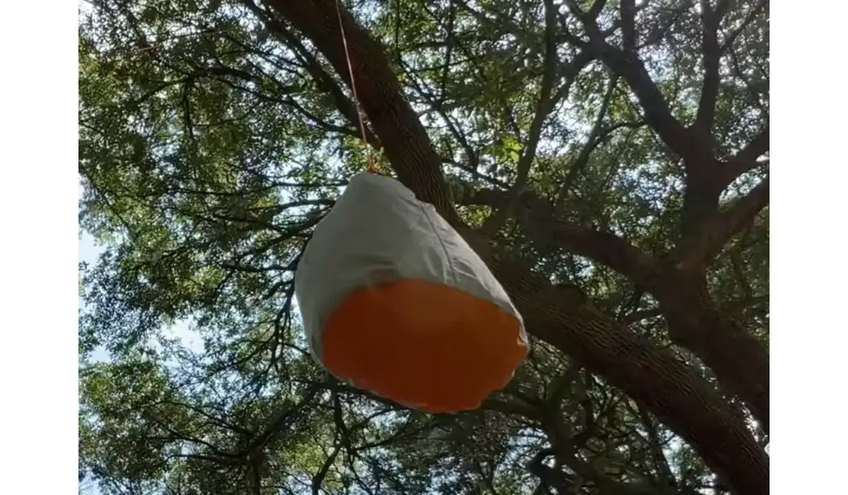 Bear bag(bear bag vs canister)