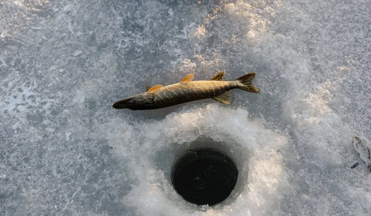 Ice fishing hole