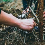 Tinder vs Kindling: How to Start a Fire Like a Pro