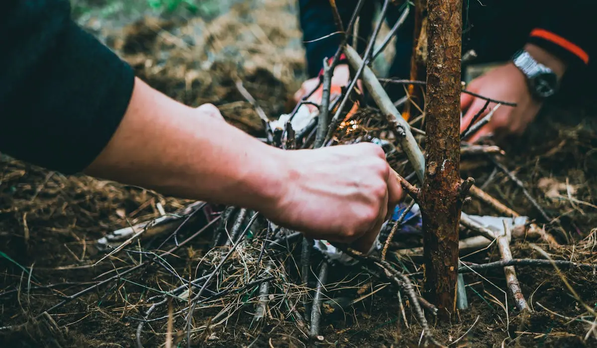 You are currently viewing Tinder vs Kindling: How to Start a Fire Like a Pro