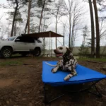 Are Camping Cots Comfortable? Unfold The Truth