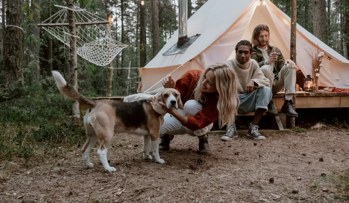 Camping with dog