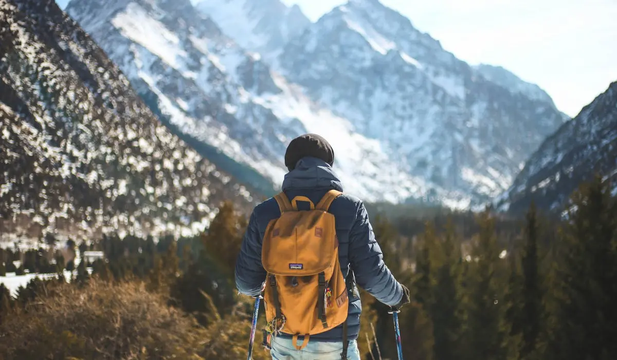 Hiking Pole and mountain