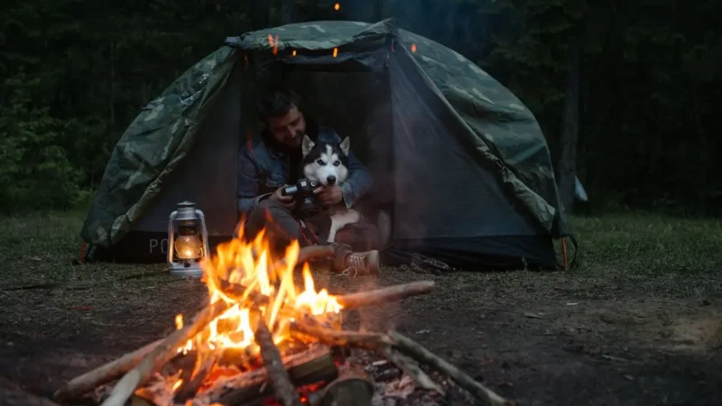 How to Keep Dogs Cool While Camping