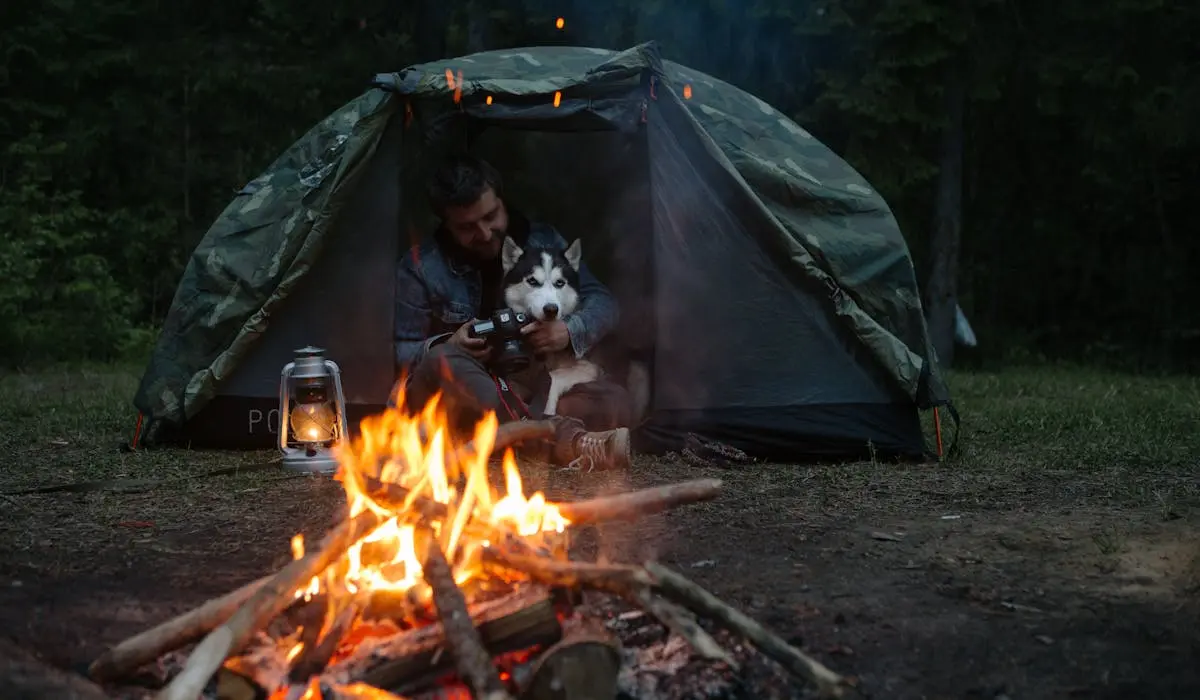 You are currently viewing How to Keep Dogs Cool While Camping