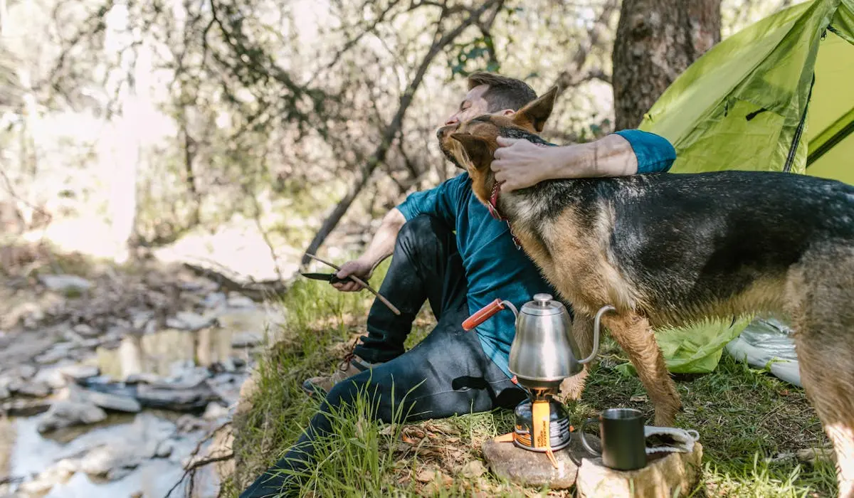 Keeping Dogs Cool While Camping