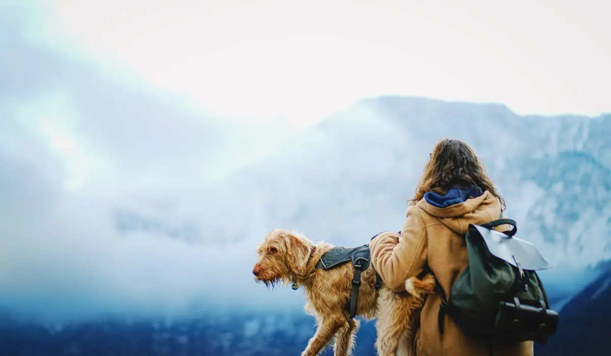 Dog and hiker on top of a mountain