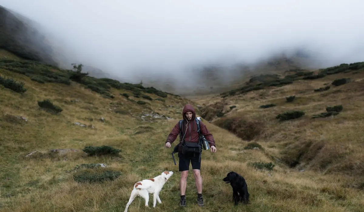 Hiker and two dogs top of a cliff