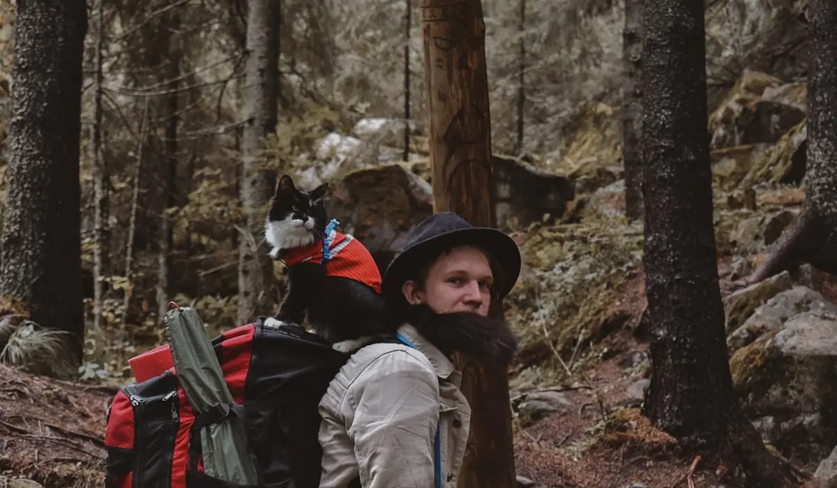 setting up camp with cat